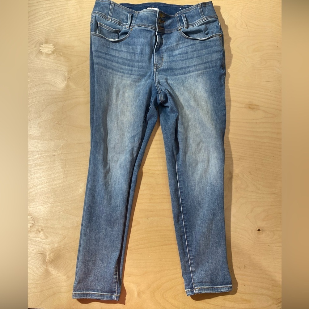 Lane Bryant Blue Jeans 20 (PU)